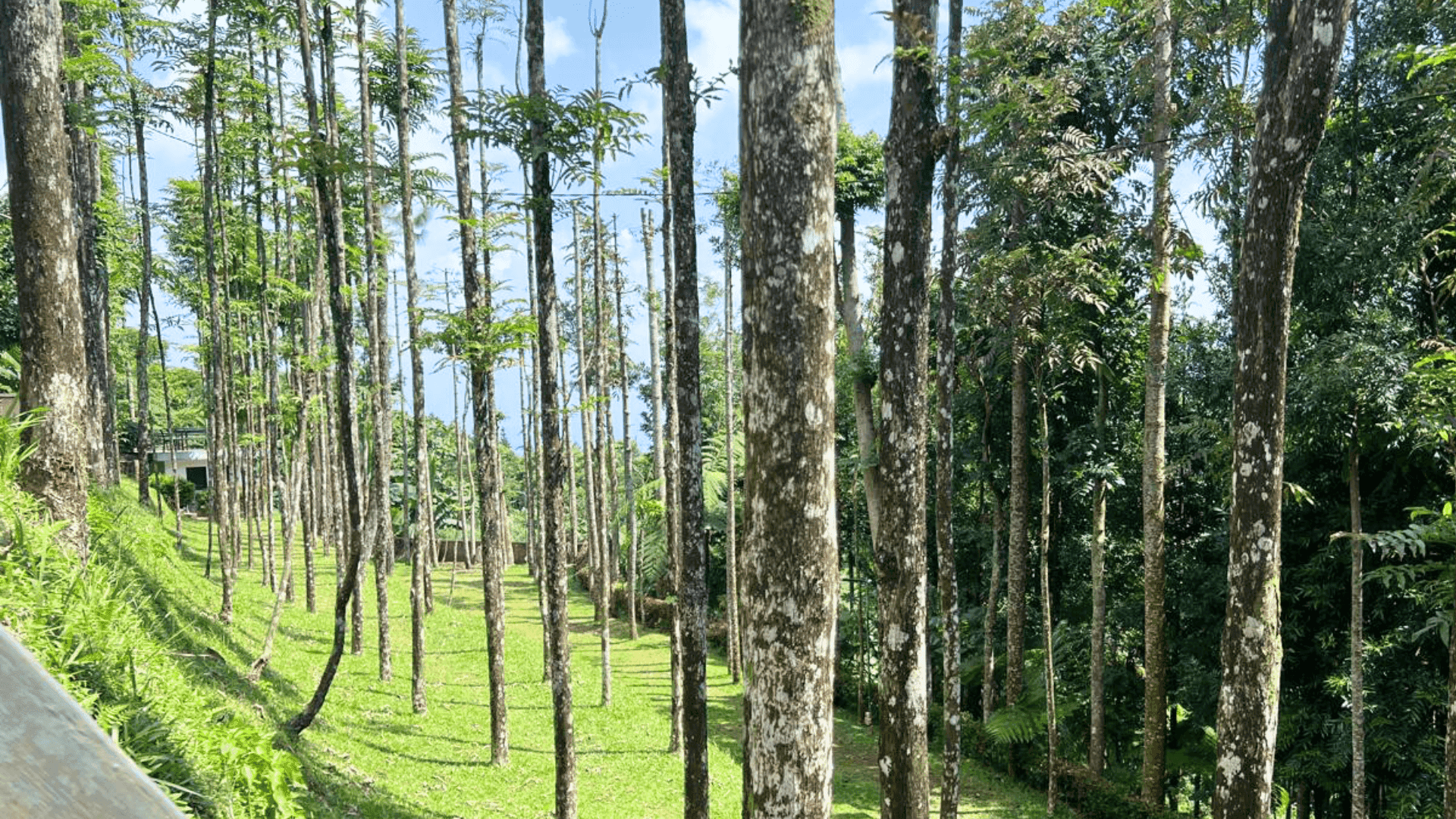 Suasana lokasi Kemah Dongeng 2