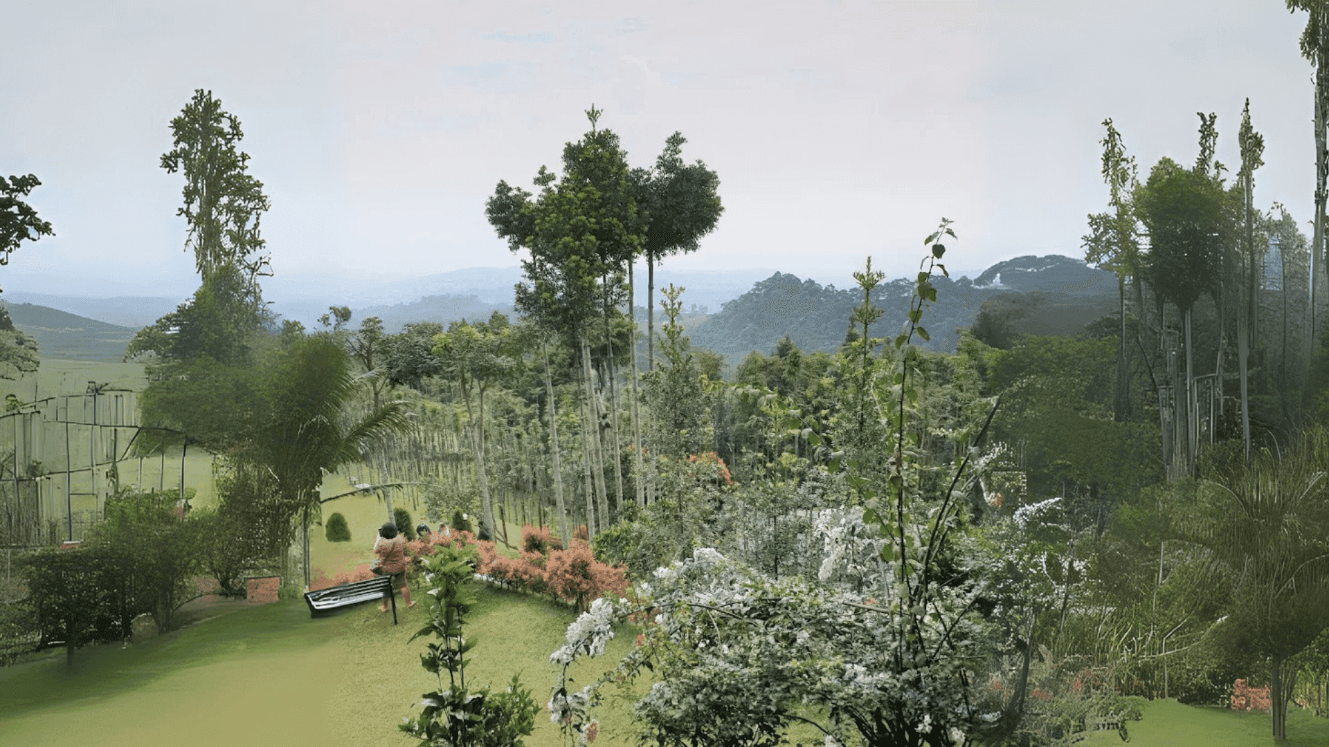 Suasana lokasi Kemah Dongeng 3