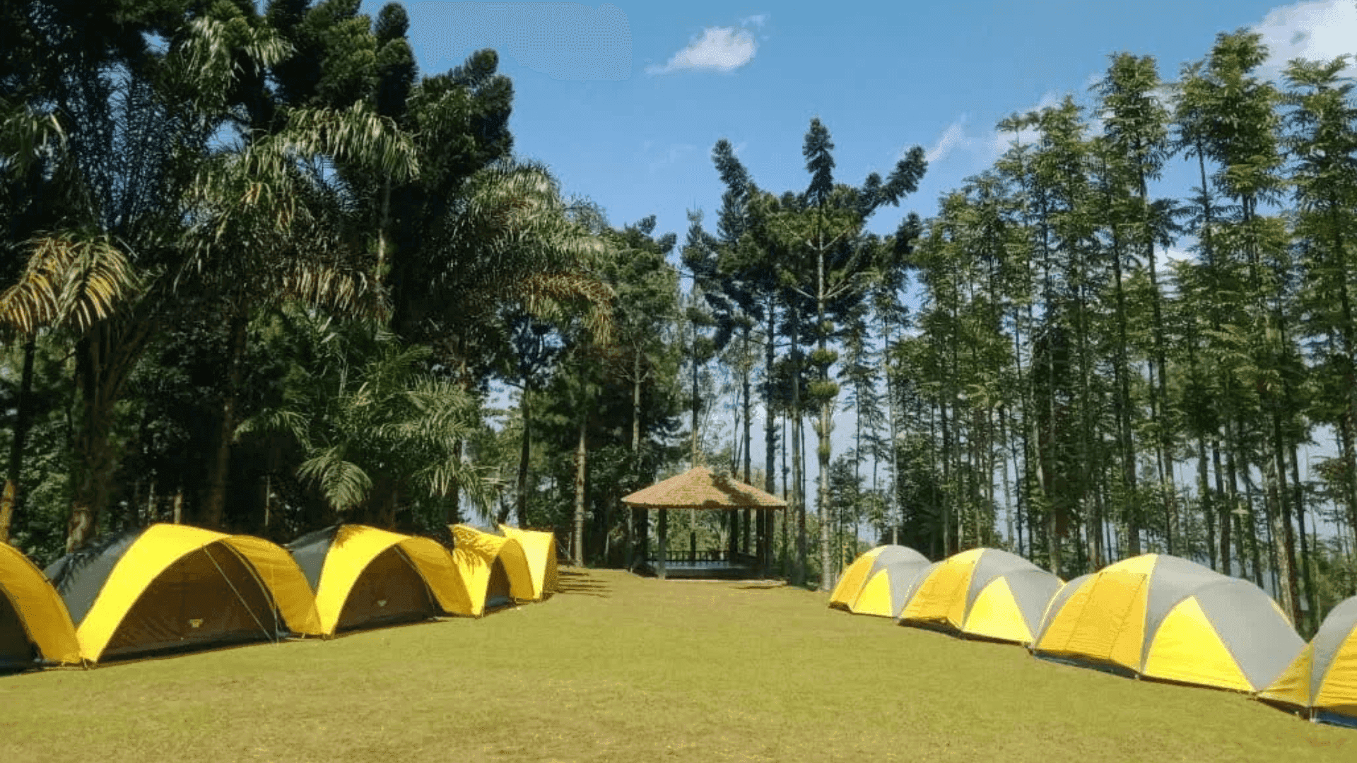 Suasana lokasi Kemah Dongeng 4